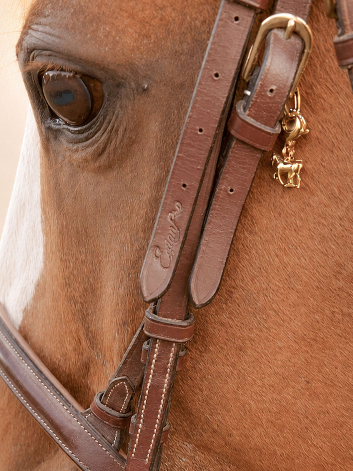 Gold equestrian horse charm set with letter
