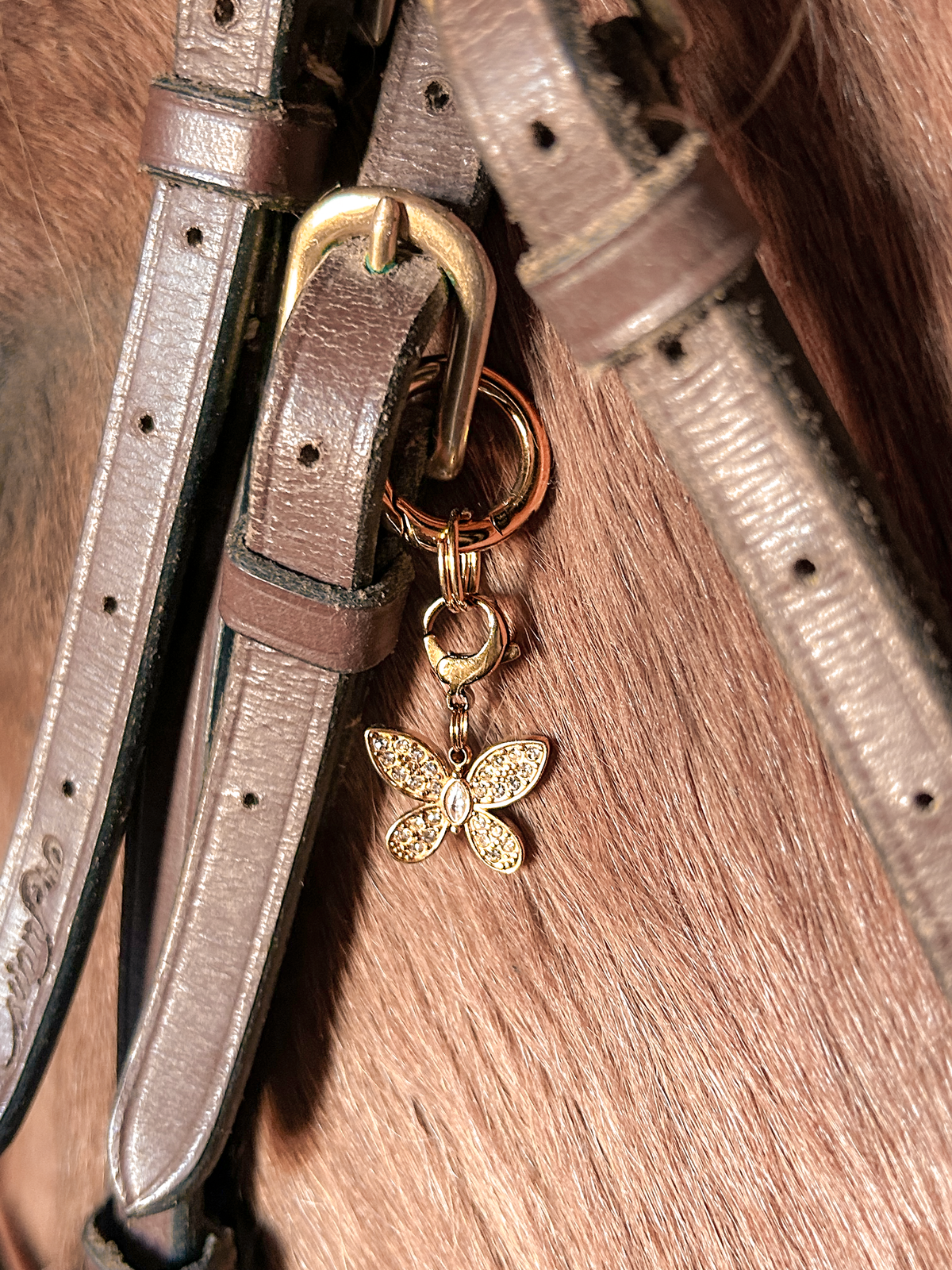 Gold diamond butterfly charm for horse shows and equestrian accessories